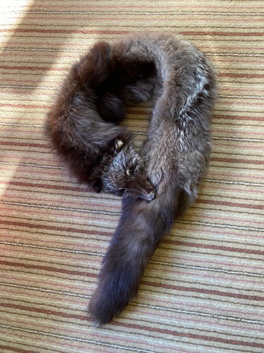 Vintage fox stole real - fox,