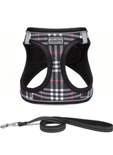 Suredoo Dog Harness and Lead