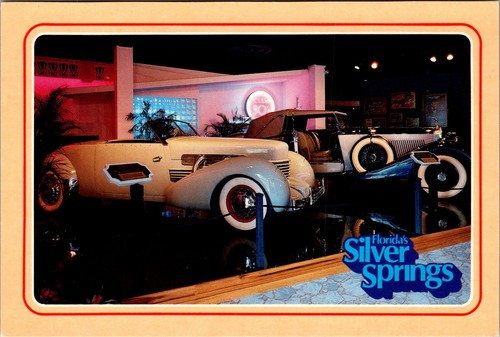 Continental silver springs - silver,