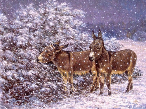 Donkey christmas card - donkey,