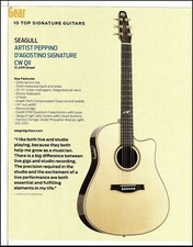 Peppino D'Agostino Signature Seagull CW QII acoustic guitar 2014 ad with specs