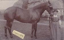 OLD PHOTO FARMING RURAL HEAVY