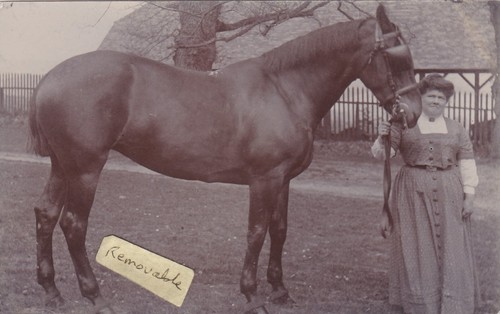 Old photo farming rural heavy - photo,