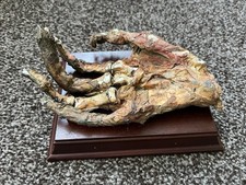 Model Mummified Hand , Film Prop