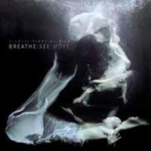 Siamese fighting fish - fighting, breathe