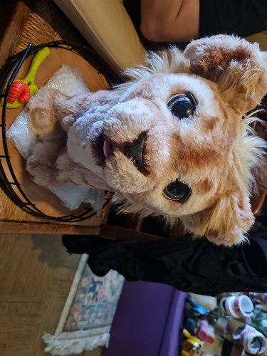 Disney the lion - lion, simba