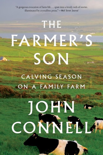 Farmers son calving - calving, on
