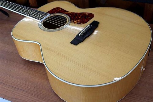 Guild 250e deluxe - f-250e, electric