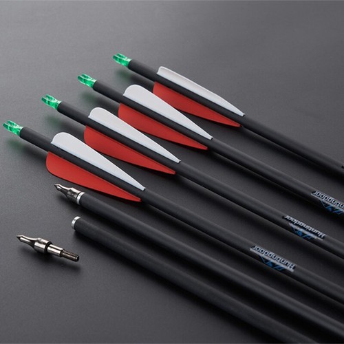 Carbon arrows sp500 - carbon,
