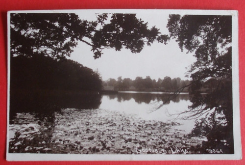 1915 old rppc - , lake