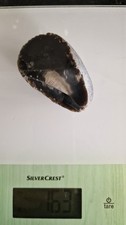 Flint stone 163gramme 7cm - stone,