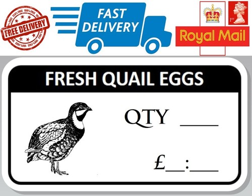 100 fresh quail - fresh,