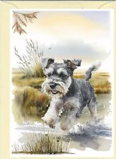 Miniature Schnauzer Dog