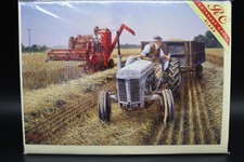 CORN FOR HARVESTING  -