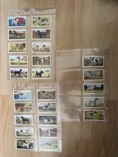 THE DOG HOUSE, DOGS, 3RD SERIES OF CARDS, SET OF 25 IN PLASTIC SLEEVES