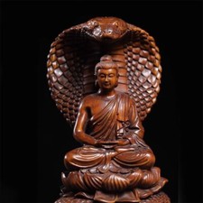 2.6-IN Collect China Box-Wood