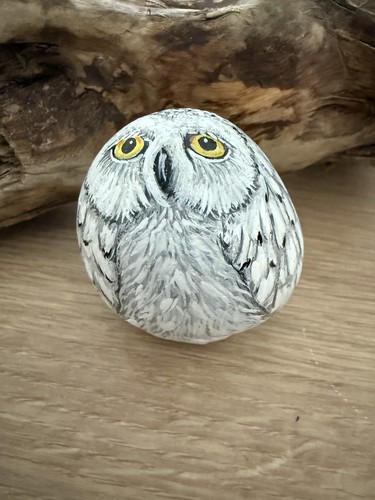 Painted pebbles rockart - pebbles,