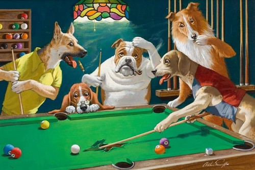 Dogs playing pool - playing,