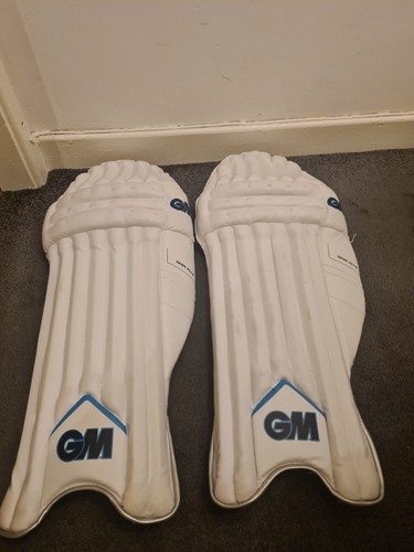 Gunn and moore batting pad - gm,