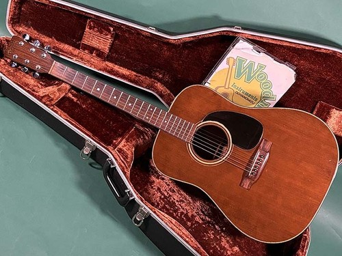 Martin used acoustic - martin,