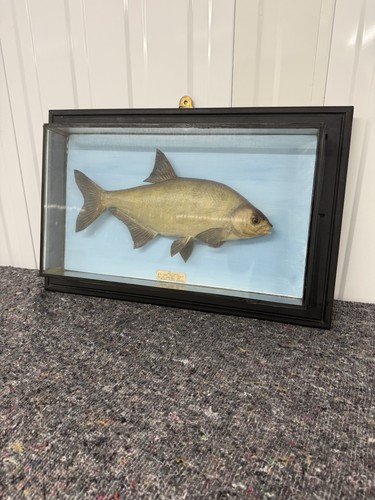 Vintage wall mounted bream - vintage,