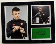Professional Snooker Player