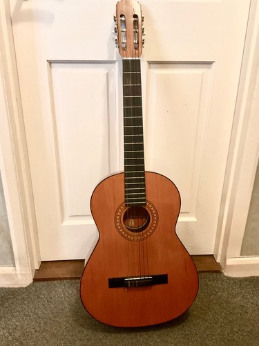 Vintage almeria acoustic - vintage,
