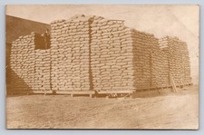 Vintage Real Photo Postcard of