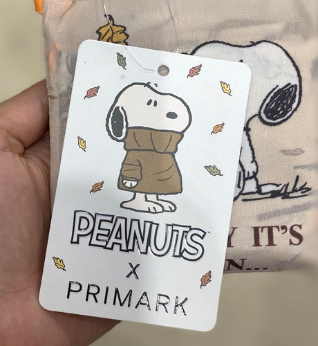 Peanuts snoopy woodstock - snoopy,