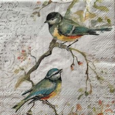 2 x cocktail paper napkins for