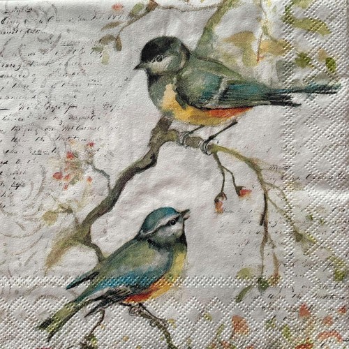 Cocktail paper napkins for - 2, x