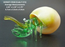 Beautiful GLASS HERMIT CRAB