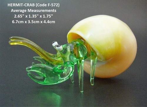 Beautiful glass hermit crab - beautiful,