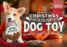 H&H Christmas Pre-Personalised - Squeaky Dog Xmas Pudding Toy - Named Dog Toy
