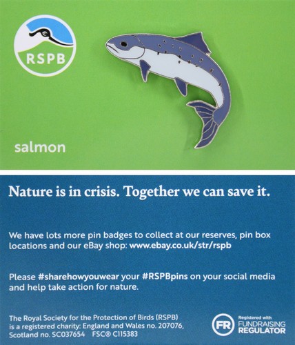 Rspb pin badge - rspb, niic