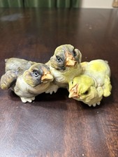 Chrisdon Yellow Chicks