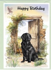 Flatcoated Retriever Dog