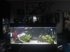 5 Foot boyo Fish Tank, fx6 filter, LED Light Strip, Heater and UV Light Used