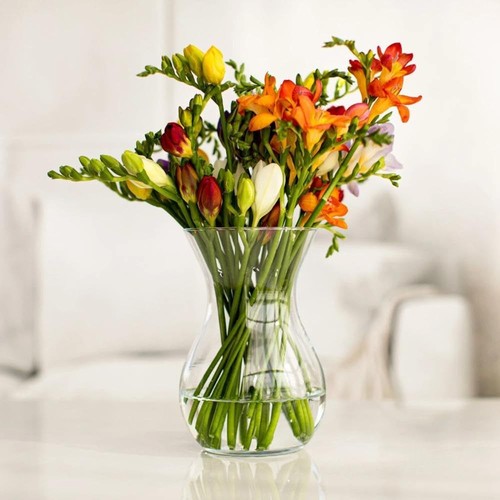 Clear glass vase - vase, 18cm