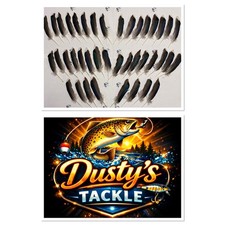 Mallard Wing Feathers Blue