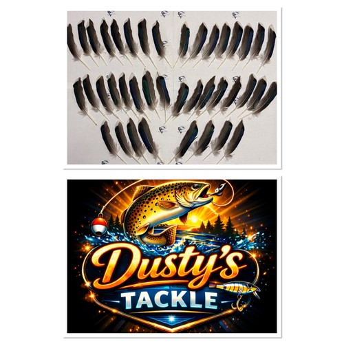 Mallard wing feathers blue - mallard,