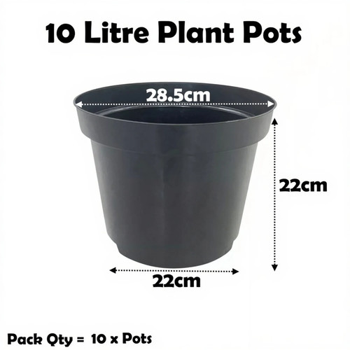 Litre black plant - litre,