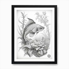 Chagoi Koi Fish Haeckel Style