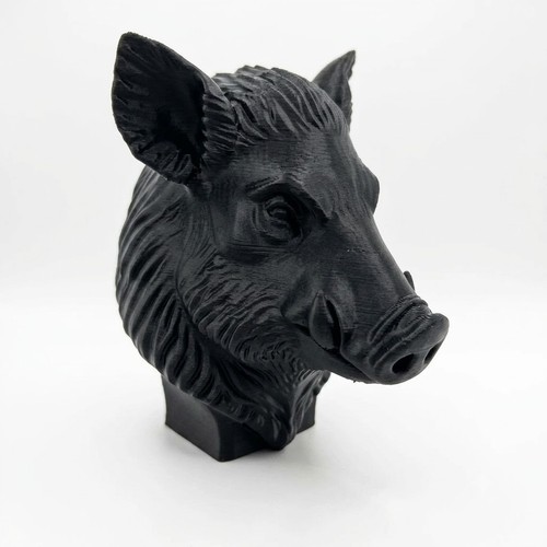 Wild boar animal - wild,