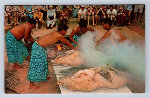 Vintage luau preparations - vintage, of