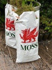 Fresh welsh sphagnum - sphagnum, moss