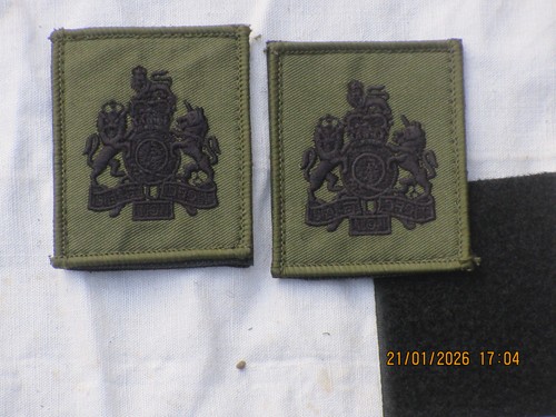 Commando rank badge - wo1,