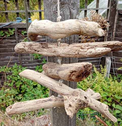 Contemporary driftwood garden