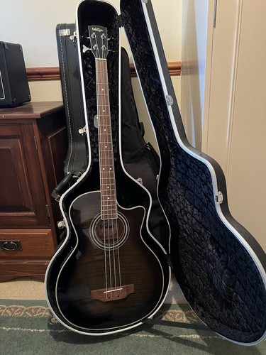 Vintage electro acoustic - “vintage”,