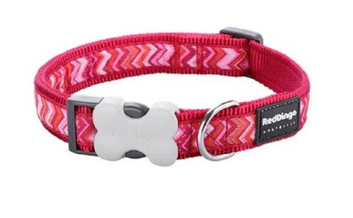 Red dingo pizzazz - dingo,